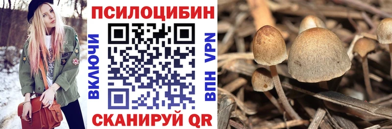Псилоцибиновые грибы прущие грибы Енисейск